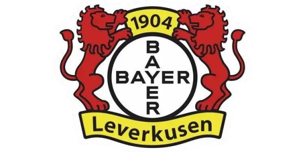 勒沃库森选帅最新进展：劳尔进入最终名单，德甲豪门将做重要决定