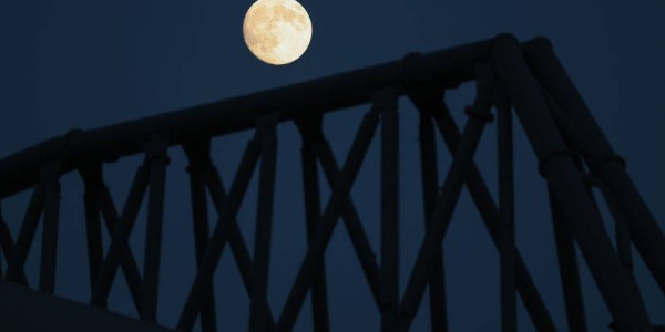 泰勒·莫顿：从红军小将到法甲新星的心路历程，英超冠军的光辉与沮丧交织