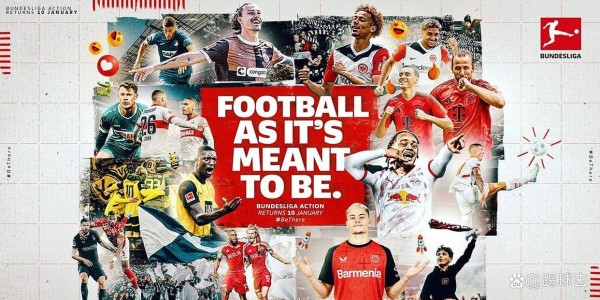 勒沃库森签下布拉斯维奇，德甲内部流转老门将