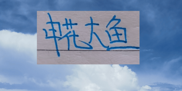 申花大鱼终于上岸了！切尔西教练2026年第一天下课